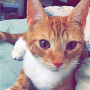 Meet your Posher, Alyssa